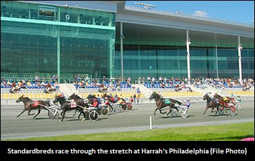 World Record Speed For Will Take Charge 