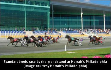 Classy Aged Horses Tighten Over Philly