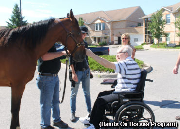 Retired Racehorse Makes Radio Debut