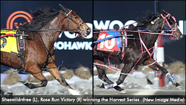 Speed Prevails In Harvest Series