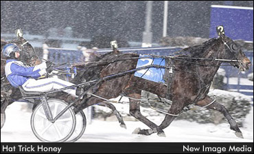 Bolender On 'Ronniejo', Blizzard Stakes 