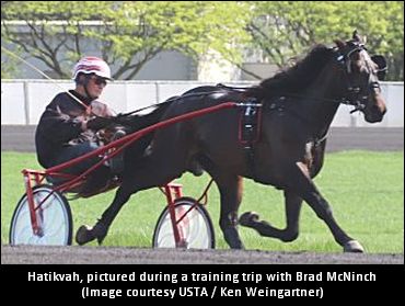 Trying To Temper Expectations