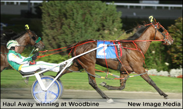 Field Set For Upper Canada Cup