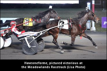 Norman Discusses Haveoneforme