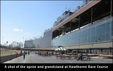 Hawthorne Has 600 Stalls Available