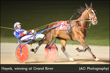 Canadian Record Mile For Hayek