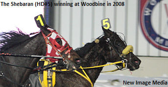 Win 1,000 For Winacott