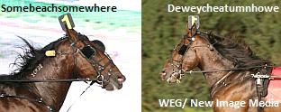 It All Comes Down To The Breeders Crown