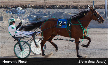 Heavenly Place Repeats In Mares Open