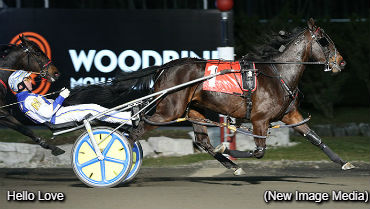 Hello Love Impresses In Debut