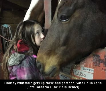 Hello Carlo Answers The Call