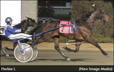 Three-Peat To Give Mayotte His First?