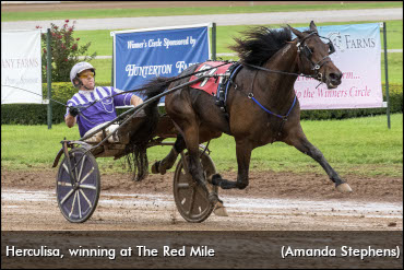 Herculisa Faces Her Toughest Test