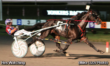 Hes Watching Still Undefeated