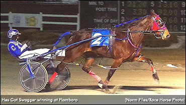 Hes Got Swagger Swift At Flamboro