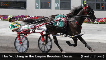 Tioga Hosts Empire Breeders Classics