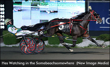 Watching North America's Finest