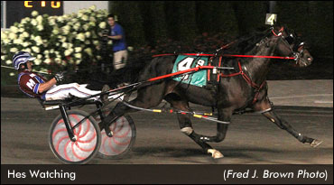 Another Record For Hes Watching?