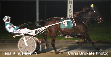 Hesa Kingslayer Unstoppable At Yonkers