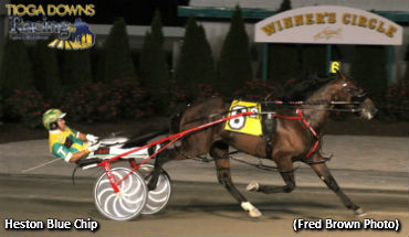 Cane Elim To Heston Blue Chip; 'Beatgoeson' Takes Miss Versatility
