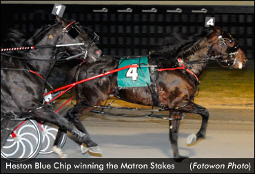 'Heston' Concludes Season With Record Matron Win
