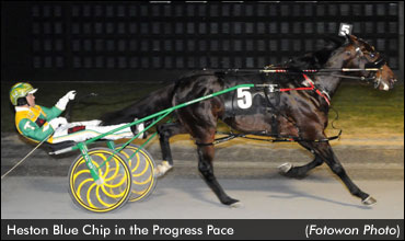 Heston Blue Chip Wins Progress Pace