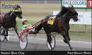 'Heston' Stays Undefeated In NYSS