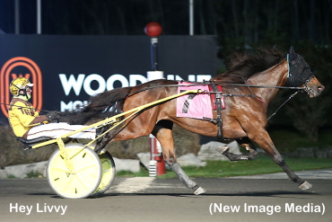 Hey Livvy Repeats In Preferred