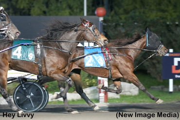 Hey Livvy Holds On In Preferred