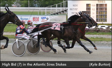 Undefeated High Bid Injured