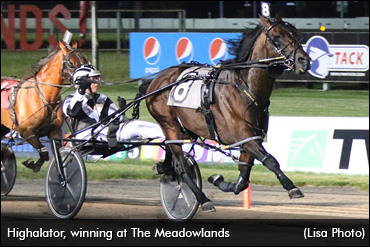 Highalator Steps Up Saturday