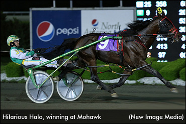 Hilarious Halo To Stand Stud