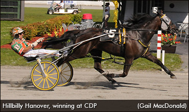 Hillbilly Hanover Takes Trial Two
