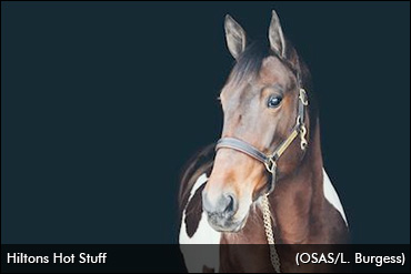 OSAS Ambassador Visits Kawartha