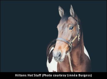 OSAS Adds Colourful Ambassador