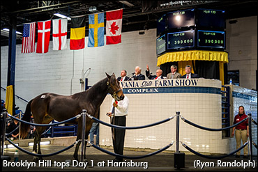Brooklyn Hill Tops Harrisburg Day 1