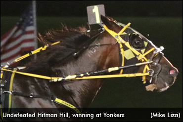 Hitman Hill Still Perfect