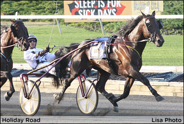 Peck En Route To Another Hambo Victory?