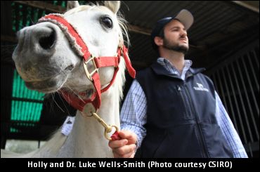 First Step In 3D-Printed Shoes
