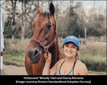 OSAS Horses On The Move