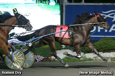 Homen Dry Wins Define The World