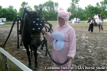Horse Show A Big Hit