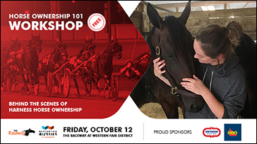 Sign Up For Horse Ownership 101