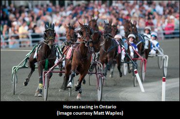 AGCO Statement On Capsaicin Positives