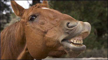 Fall Is Dental Check-Up Time