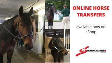 Ownership Transfers Now On eShop