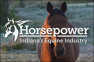 Indiana's Equine Industry Profiled