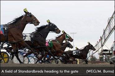 Ontario Racing Addresses Lockdown