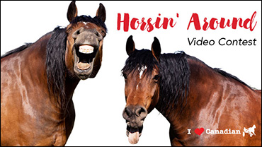 Horsin' Around Video Winner Is…