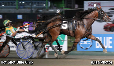Meadowlands FFA To Hot Shot Blue Chip 